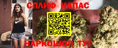 СК Малгобек