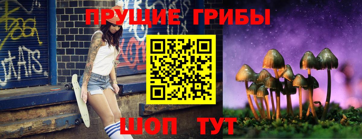 Псилоцибиновые грибы Psilocybine cubensis  Усть-Кут  Галлюциногенные грибы прущие грибы 