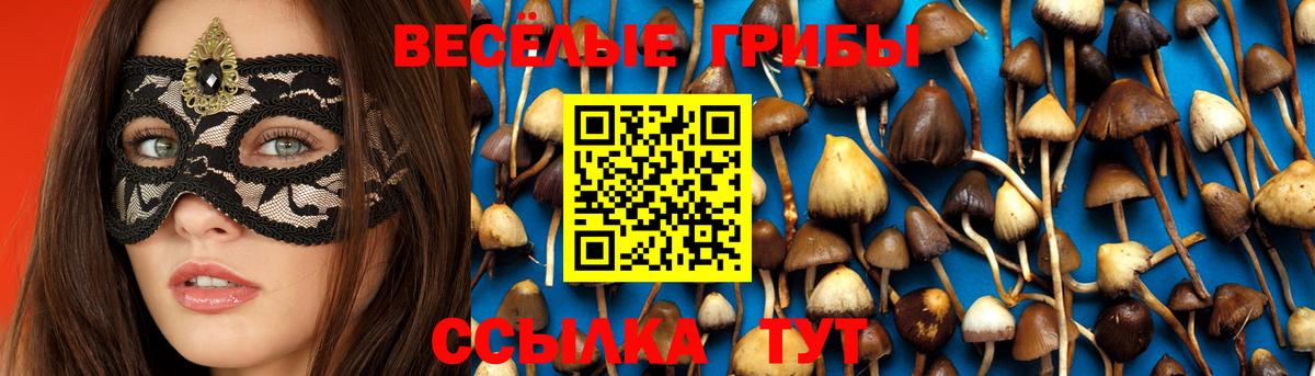 Усть-Кут  Псилоцибиновые грибы Psilocybe  Вход с VPN  Псилоцибиновые грибы Magic Shrooms 
